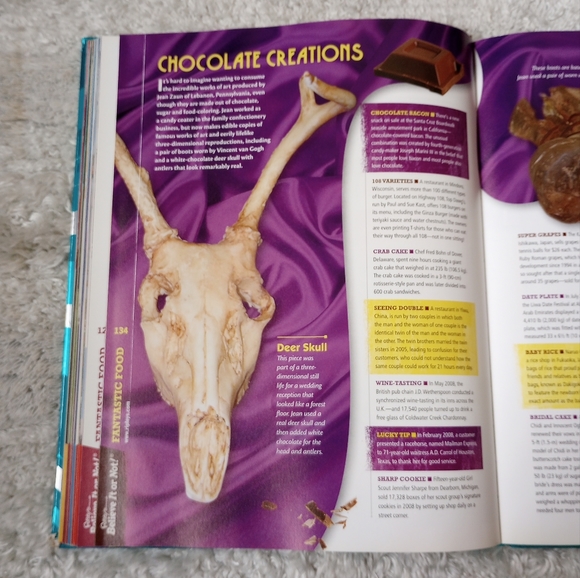 Ripley's Believe It or Not Seeing Is Believing - Picture 6 of 10